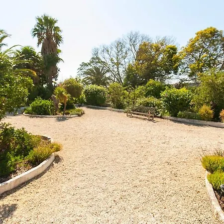 Quinta Achadas - Bouganvillea