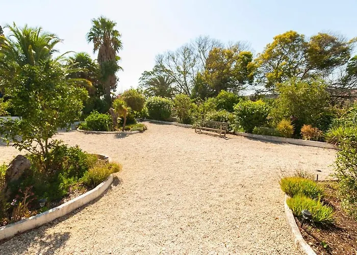 Quinta Achadas - Bouganvillea
